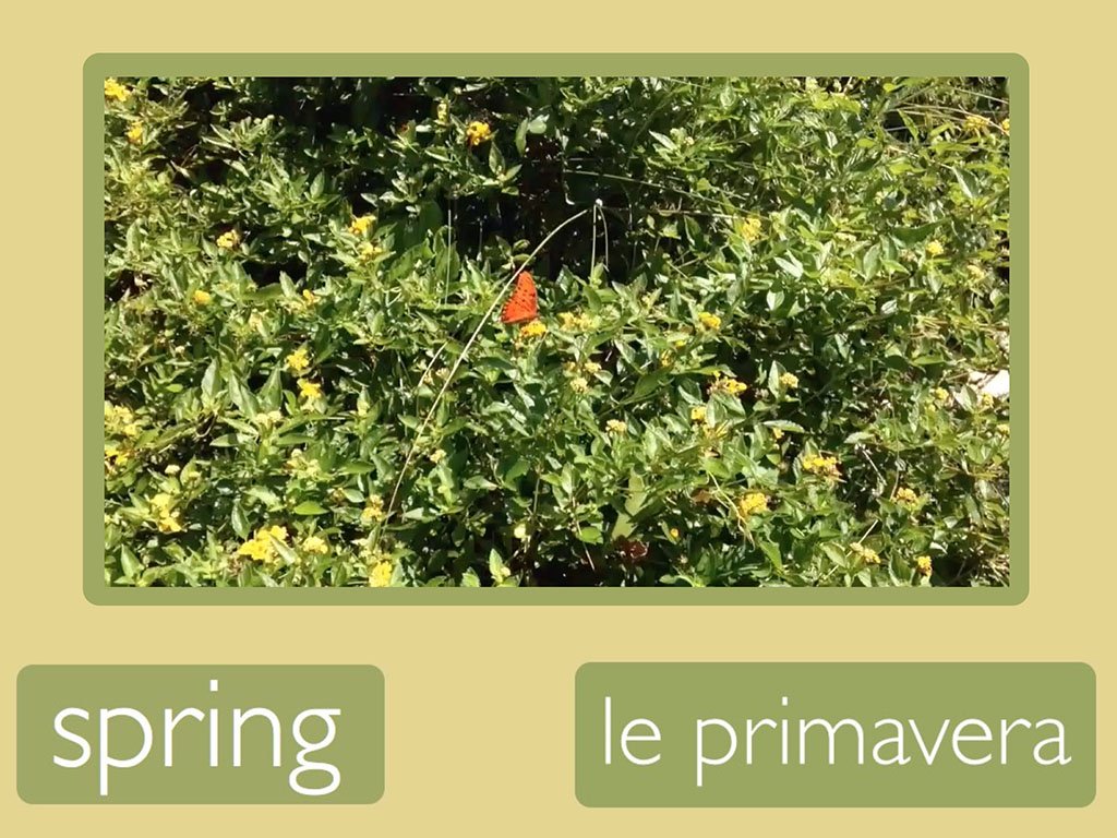 Spring: Italin